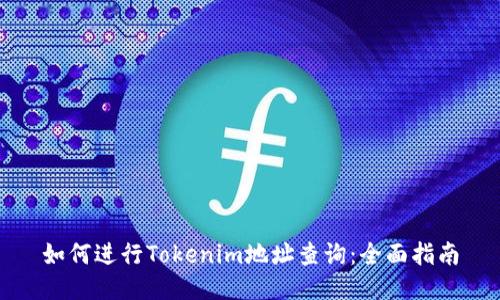 如何进行Tokenim地址查询：全面指南
