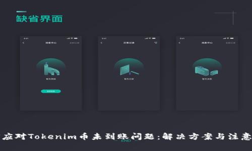 如何应对Tokenim币未到账问题：解决方案与注意事项