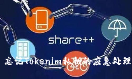## 忘记Tokenim私钥的应急处理指南