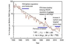  以太坊钱包的作用与使用