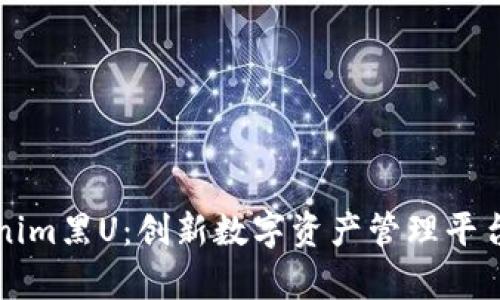 全面解析Tokenim黑U：创新数字资产管理平台的优势与应用