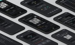   如何在TokenTokenIM钱包中使