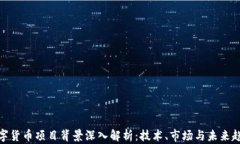数字货币项目背景深入解