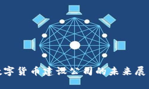 : 央行数字货币建设公司的未来展望与挑战