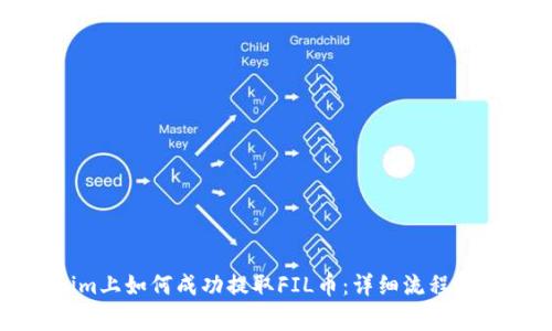 在Tokenim上如何成功提取FIL币：详细流程和注意事项