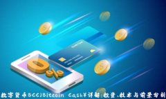 数字货币BCC（Bitcoin Cash）