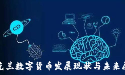   
乌克兰数字货币发展现状与未来展望