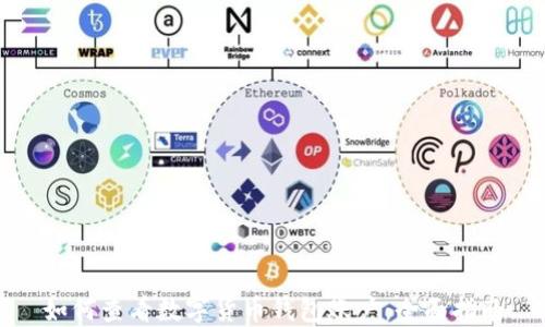 
如何查看数字货币钱包账户：全面指南