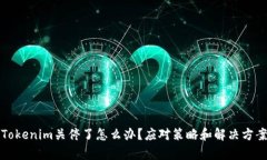 如果Tokenim关停了怎么办？