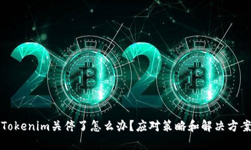 如果Tokenim关停了怎么办？应对策略和解决方案分析