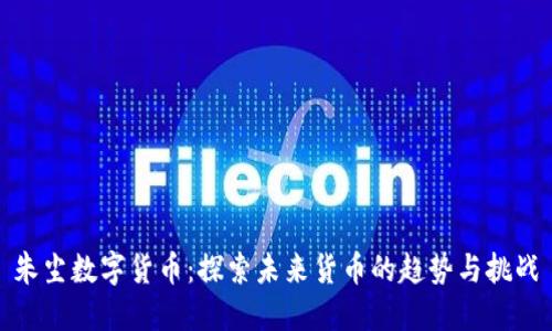 朱尘数字货币：探索未来货币的趋势与挑战