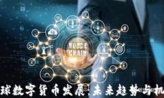 全球数字货币发展：未来